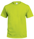 Gildan G2000GREEN-XL Adult Short Sleeve Non-Pocket Tee Shirt- Safety G